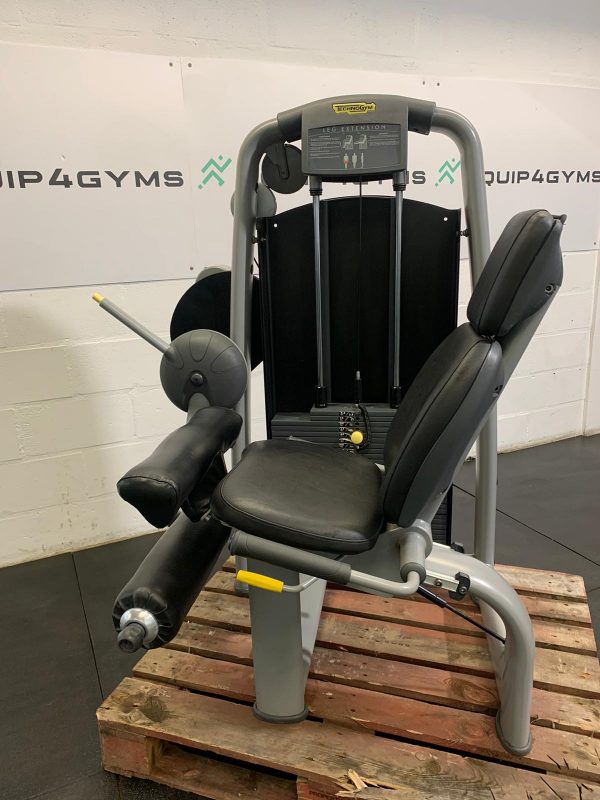 Technogym Selection Line Leg Extension