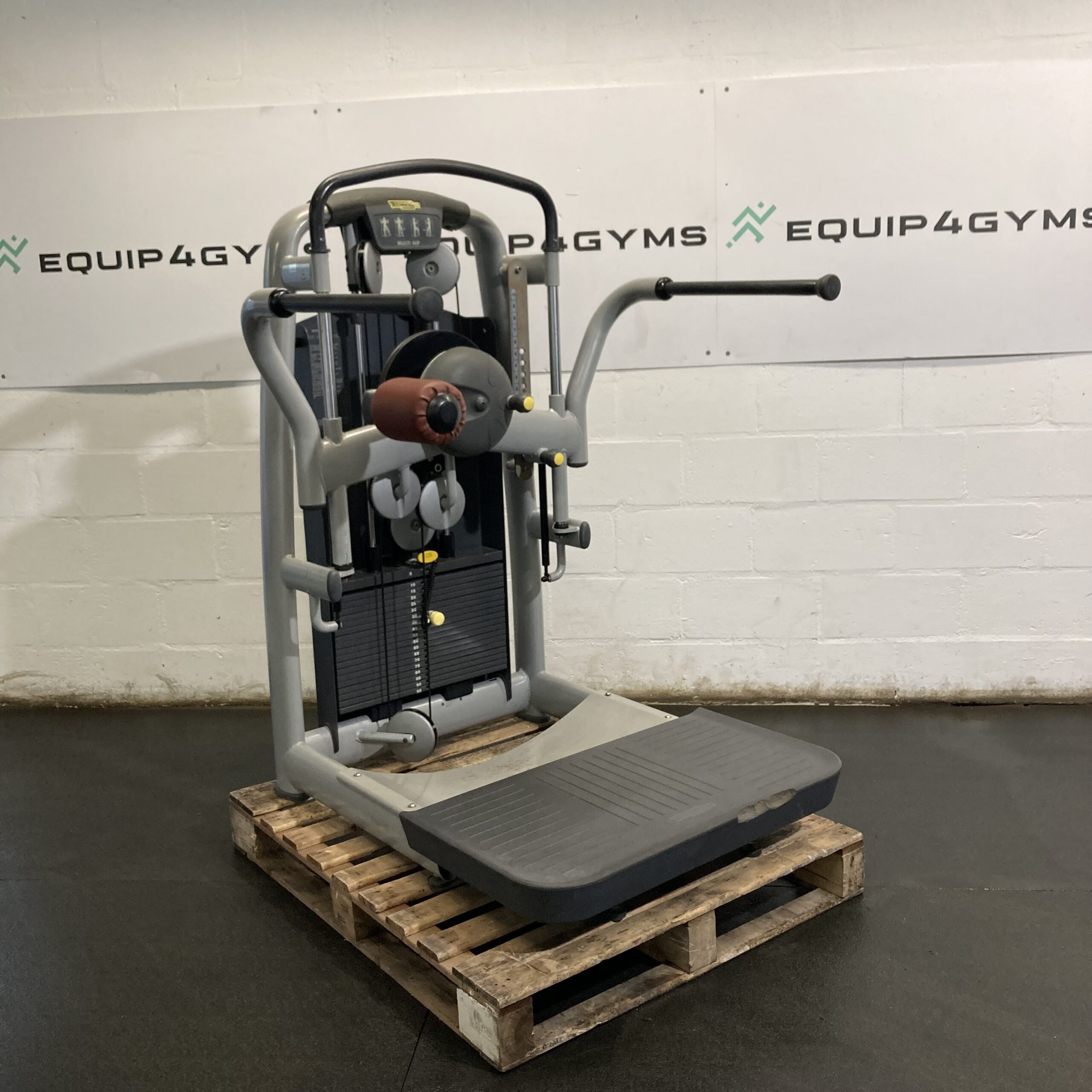 Technogym hip flexor machine sale