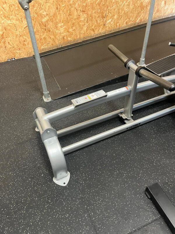 Cybex Plate Loaded Standing T Bar Row - Image 3