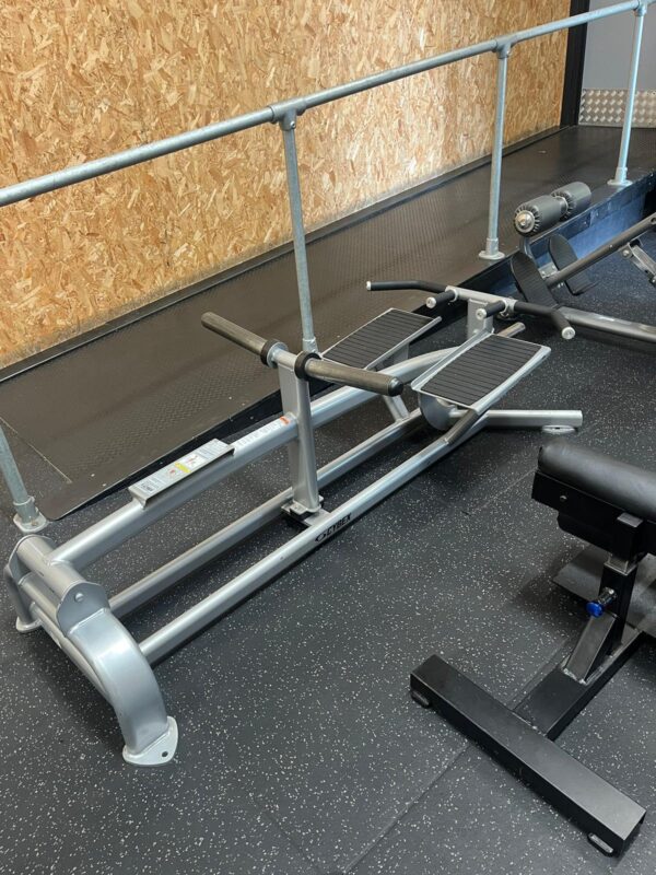 Cybex Plate Loaded Standing T Bar Row