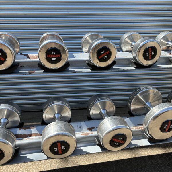 30-75lbs Hogan Dumbbell Set and Rack - Image 3