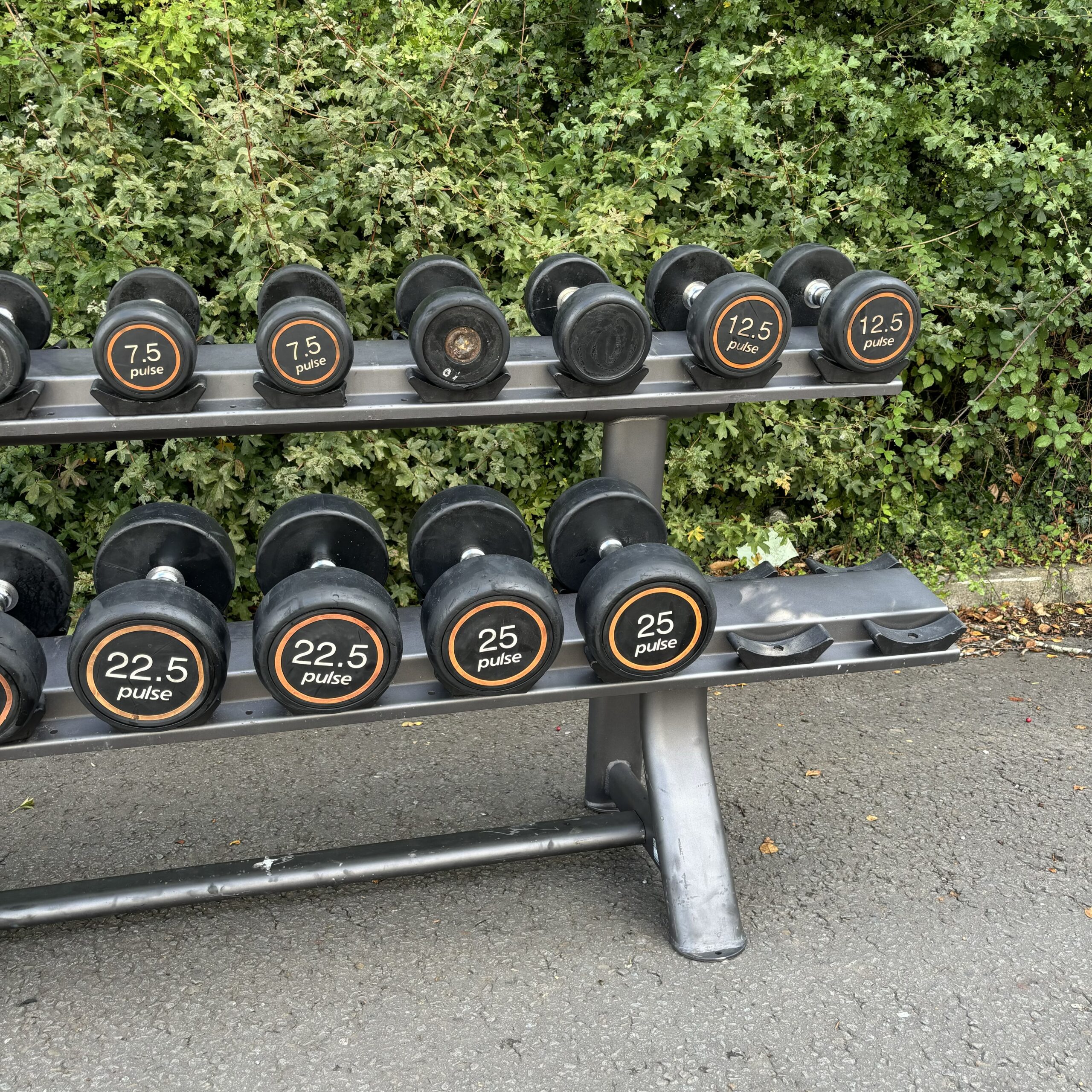 Pulse dumbbells sale