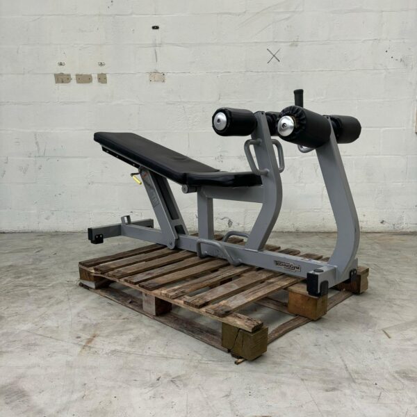 Technogym Pure Abdominal Bench